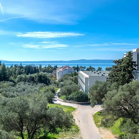 Olive And Sea Tučepi